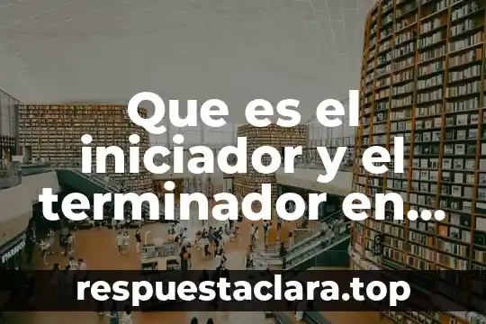 Que es el iniciador y el terminador en la polimerización