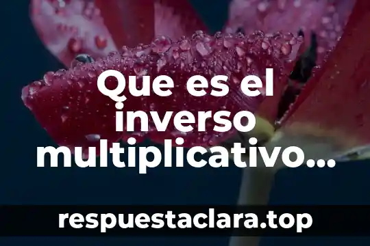 Qué es instrumento número 6 Que es el inverso multiplicativo de un numero