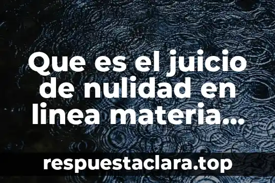 Que es el juicio de nulidad en linea materia fiscal