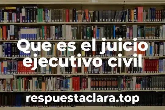 Que es el juicio ejecutivo civil