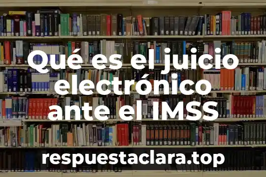 Qué es el juicio electrónico ante el IMSS
