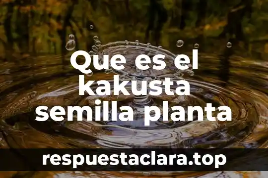 Que es el kakusta semilla planta