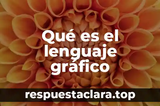 Que es grafico x-s 4 Qué es el lenguaje gráfico