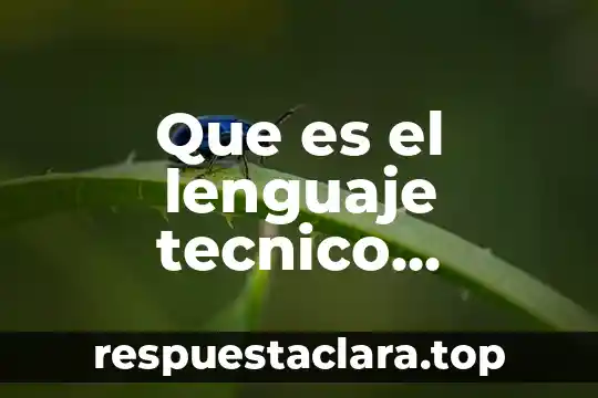Que es el lenguaje tecnico ejemplos
