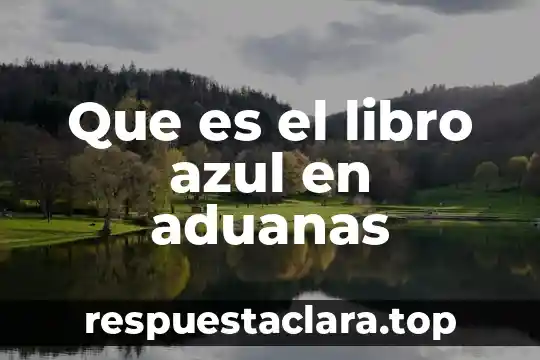 Que es el libro azul en aduanas