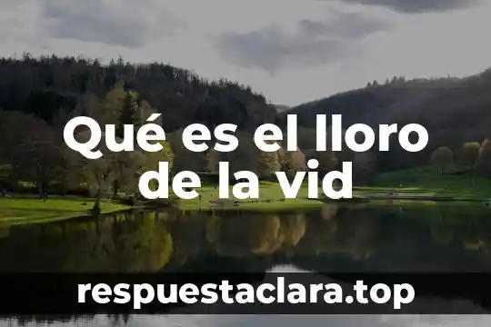 Qué es el lloro de la vid