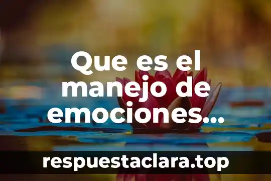 Que es primero corté o color 4 Que es el manejo de emociones para niños