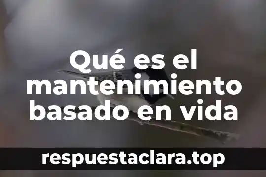 Que es aprendizaje basado en proyectos ppt 6 Qué es el mantenimiento basado en vida