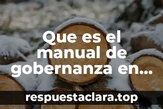 Que es el manual de gobernanza en la organizacion