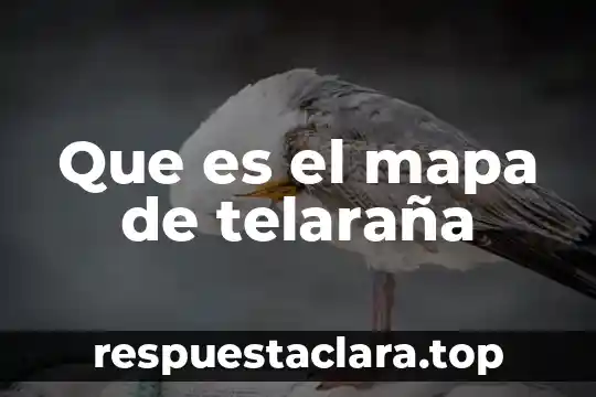 Que es el mapa de telaraña