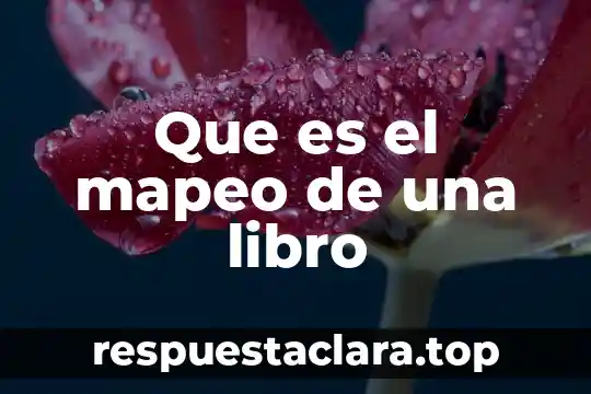 Que es el mapeo de una libro