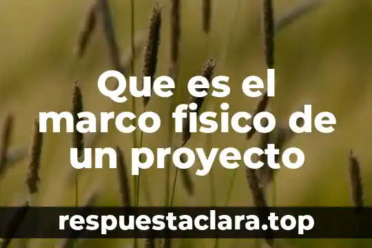 Arco organico que es 5 Que es el marco fisico de un proyecto