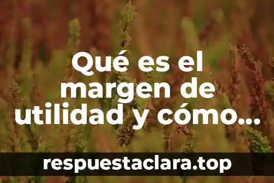 El símbolo k en física que es 3 Qué es el margen de utilidad y cómo se calcula