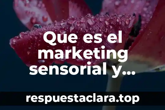 Que es el marketing sensorial y experiencial