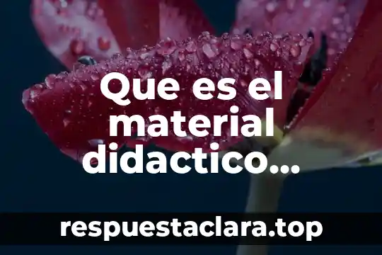Que es el material didactico casanova