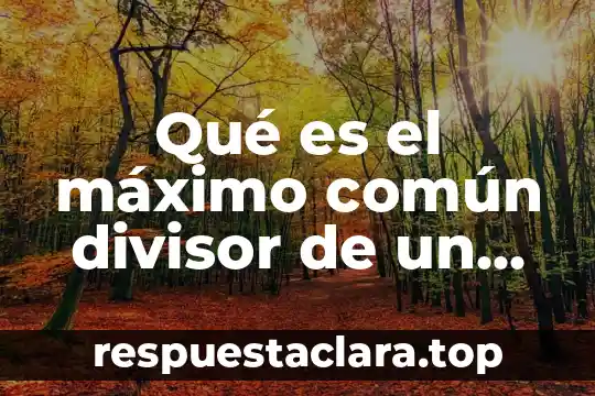 Qué es número e en matemáticas 5 Qué es el máximo común divisor de un número