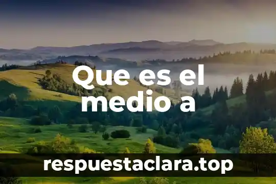 Qué es la democracia directa o representativa 4 Que es el medio a