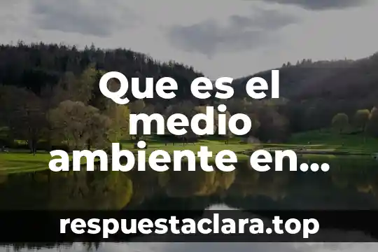 Que es el medio qúimico biologico del ser humano 3 Que es el medio ambiente en medicina