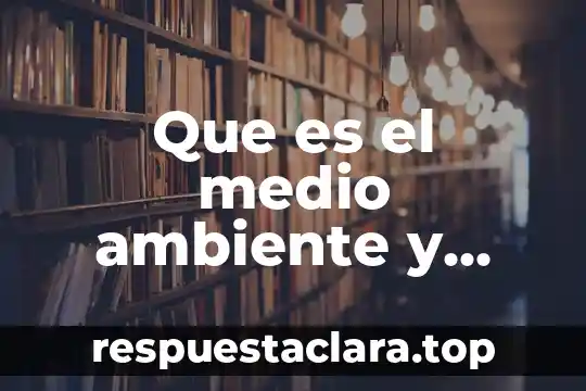 Qué es un ambiente pulvigeno 3 Que es el medio ambiente y cual es su importancia