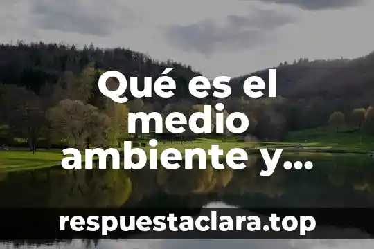 Qué es un ambiente pulvigeno 4 Qué es el medio ambiente y métodos para cuidarlo
