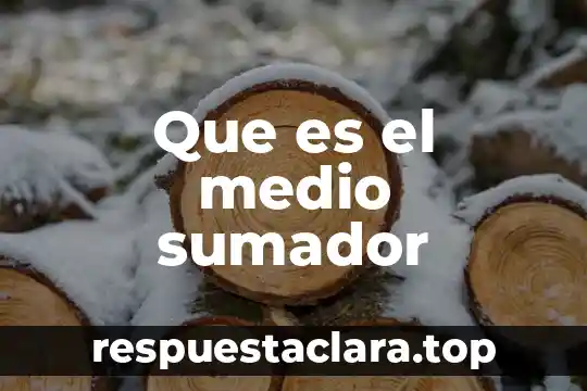 Que es el medio sumador