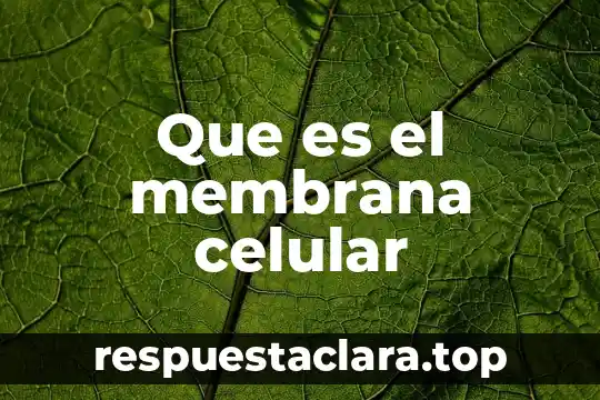 Que es el membrana celular