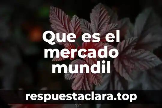 Que es el mercado mundil