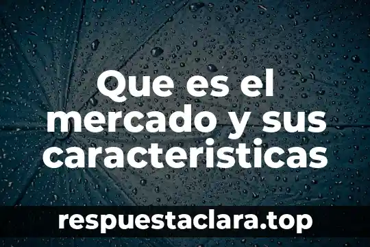 Que es una señal analogica caracteristicas 6 Que es el mercado y sus caracteristicas