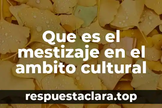 Que es el mestizaje en el ambito cultural