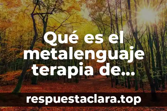 Qué es el metalenguaje terapia de lenguaje