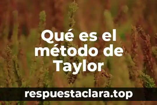 Qué es significa método 4 Qué es el método de Taylor