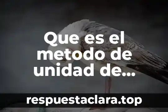 Que es el metodo de unidad de trabajo