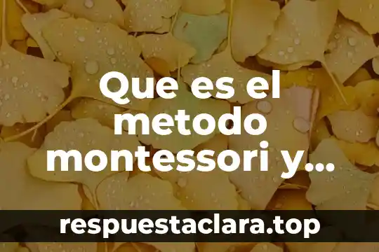 Qué es una casa de cambio de divisas 5 Que es el metodo montessori y como aplicarlo en casa