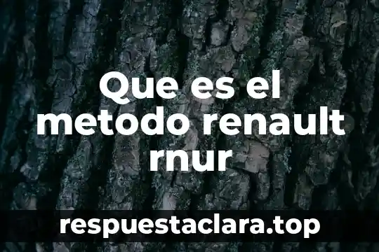 Que es el metodo renault rnur