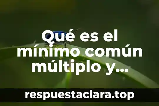 Qué es un múltiplo de un número primaria 7 Qué es el mínimo común múltiplo y cómo se obtiene