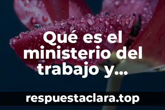 Qué es el ministerio del trabajo y seguridad social México