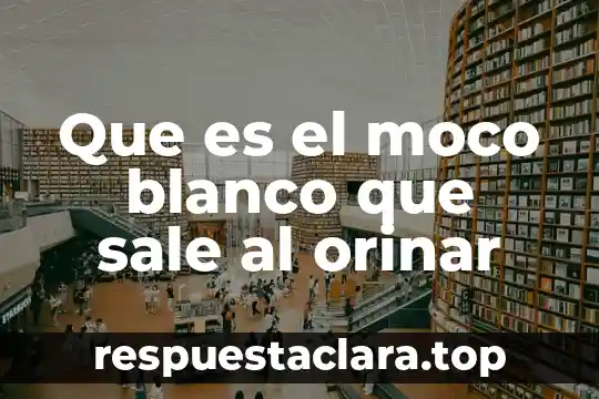 Qué es el arte realista impresionismo y posimpresionismo 4 Que es el moco blanco que sale al orinar