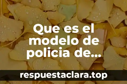 Que es el modelo de policia de proximidad