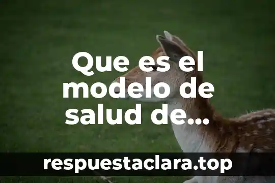 Que es el modelo de salud de rosenstock