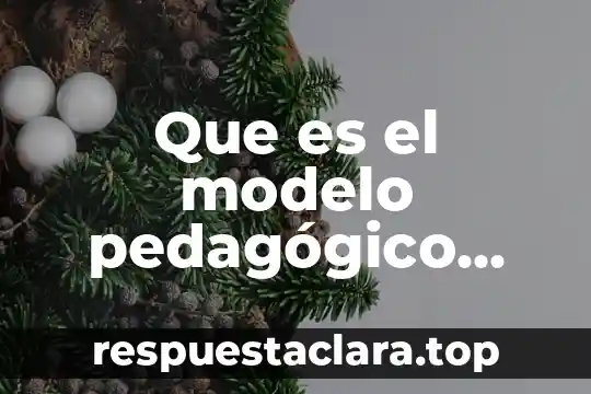 Que es el modelo pedagógico crítico redalyc