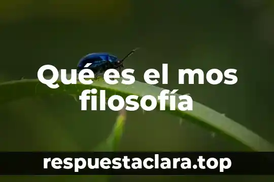 Qué es el mos filosofía
