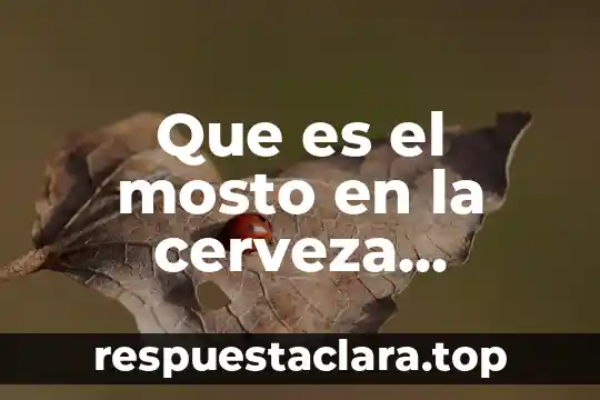 Significado bien definido de que es desigualdad 4 Que es el mosto en la cerveza mexicana