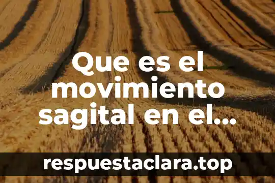 Que es el movimiento sagital en el cuerpo humano