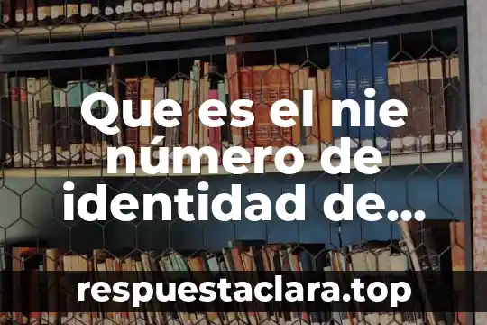 Que es numero de identificsacion nacional 4 Que es el nie número de identidad de extranjero