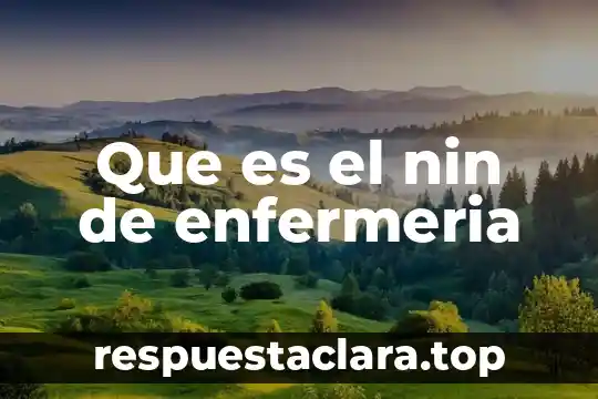 Que es una codificacion interna 6 Que es el nin de enfermeria