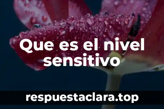 Que es el nivel sensitivo