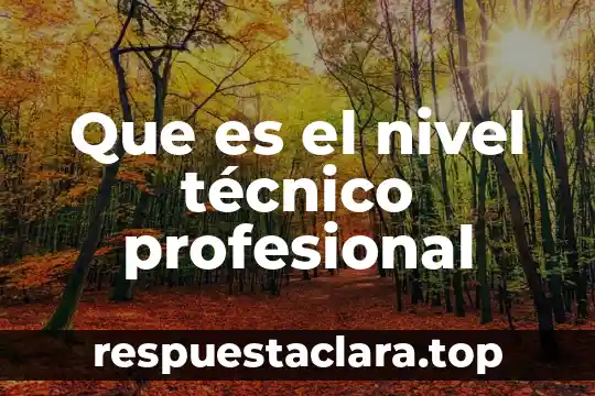 Qué es el nivel de confianza estadística 6 Que es el nivel técnico profesional