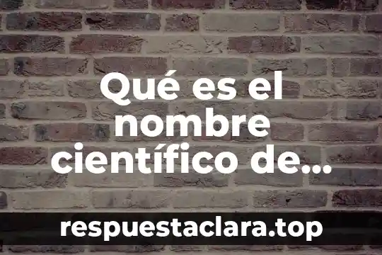 Qué es suministros de bienes y servicios 7 Qué es el nombre científico de las especies