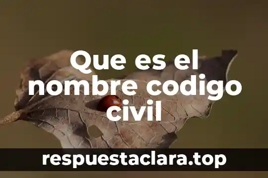 Contrato de transacción civil en México que es 7 Que es el nombre codigo civil