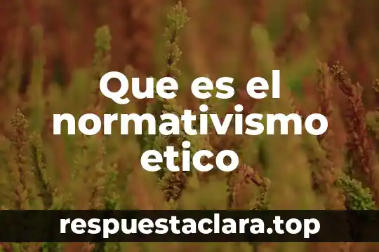 Que es el normativismo etico